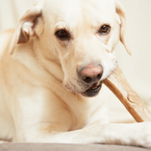 Read more about the article Your Secret Investing Weapon: Target-Date Funds